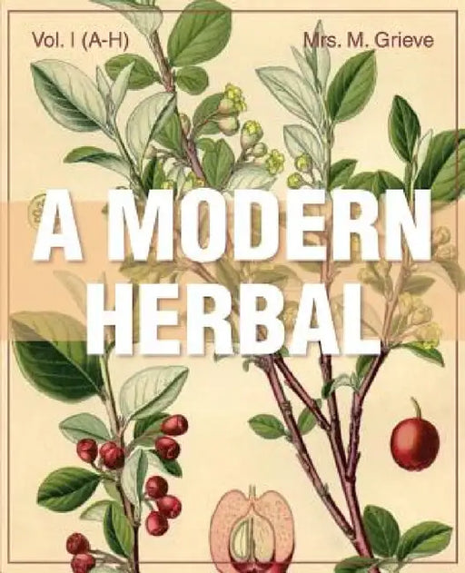 A Modern Herbal (Volume 1, A-H): The Medicinal, Culinary, Cosmetic and Economic Properties, Cultivation and Folk-Lore of Herbs, Grasses, Fungi, Shrubs by Margaret Grieve
