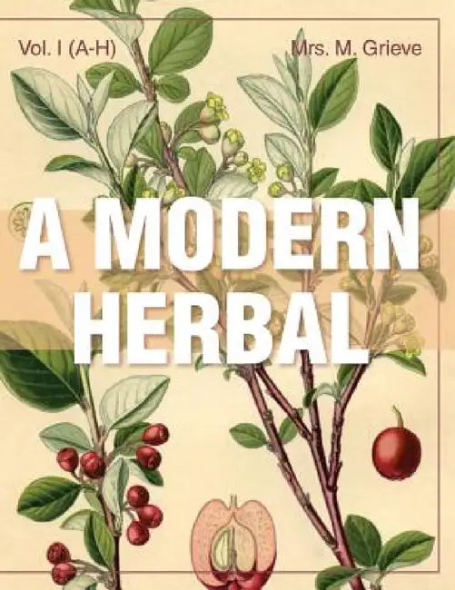 A Modern Herbal (Volume 1, A-H): The Medicinal, Culinary, Cosmetic and Economic Properties, Cultivation and Folk-Lore of Herbs, Grasses, Fungi, Shrubs by Margaret Grieve