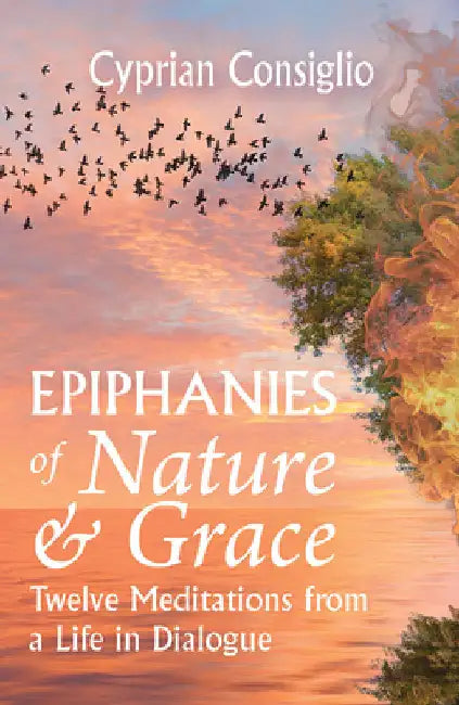 Epiphanies of Nature and Grace: Twelve Meditations from a Life in Dialogue by Consiglio, Cyprian