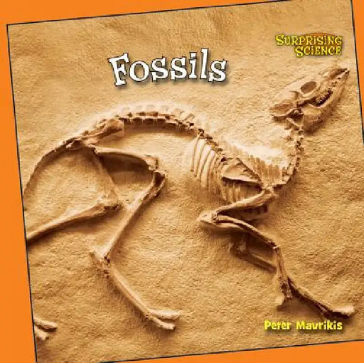 Fossils by Peter Mavrikis