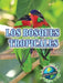 Los Bosques Tropicales: Rainforests by Precious McKenzie