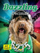 Dazzling Decimals: Decimals and Fractions by Lisa Arias