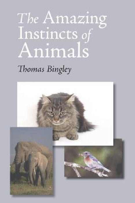 The Amazing Instinct of Animals by Thomas Bingley