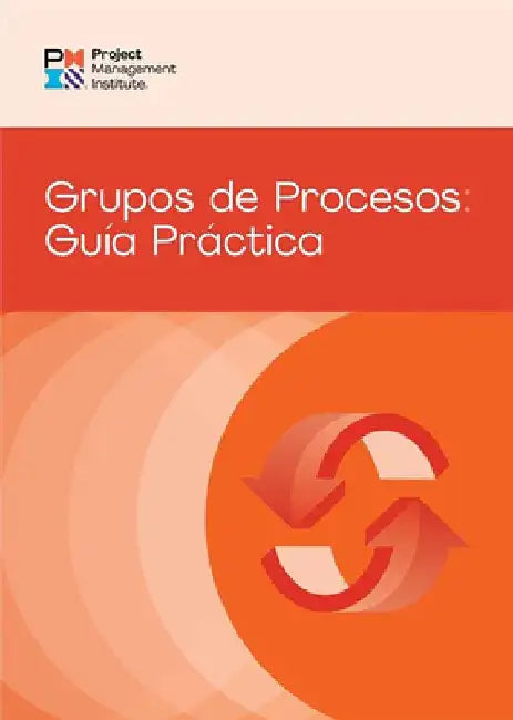 Process Groups: A Practice Guide (Spanish) by Pmi