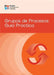 Process Groups: A Practice Guide (Spanish) by Pmi