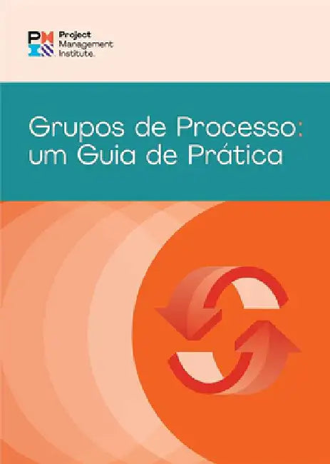 Process Groups: A Practice Guide (Brazilian Portuguese) by Pmi