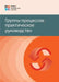 Process Groups: A Practice Guide (Russian) by Pmi