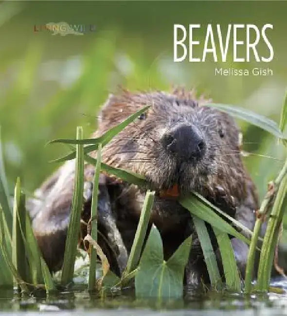 Living Wild: Beavers by Melissa Gish