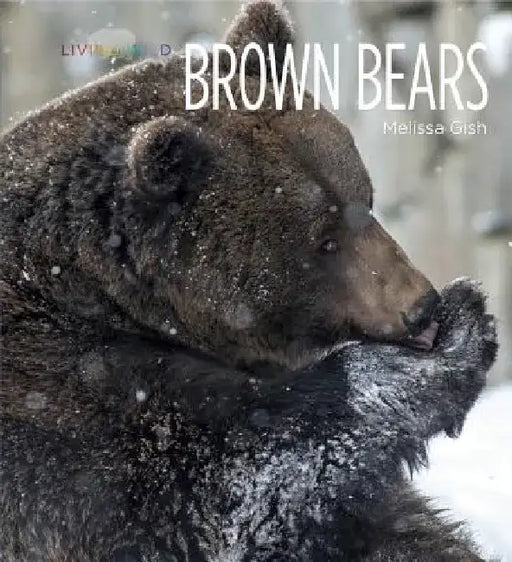 Living Wild: Brown Bears by Melissa Gish