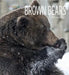 Living Wild: Brown Bears by Melissa Gish