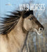Living Wild: Wild Horses by Melissa Gish