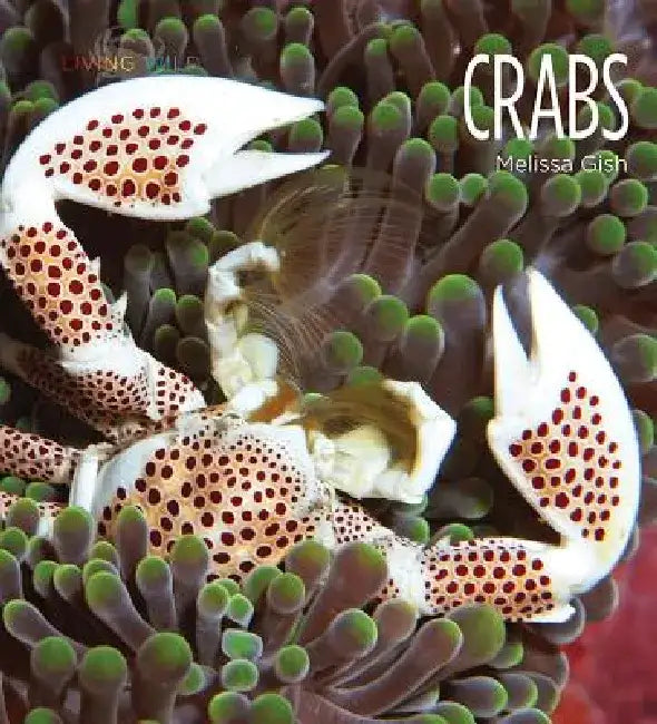 Crabs by Melissa Gish