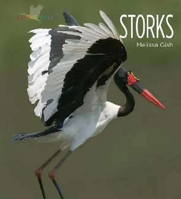Storks by Melissa Gish