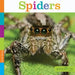 Spiders by Laura K. Murray