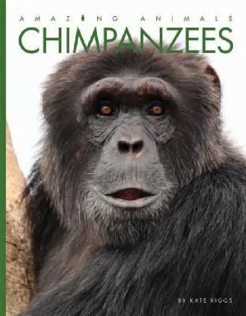 Chimpanzees by Kate Riggs