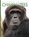Chimpanzees by Kate Riggs