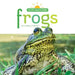 Frogs by Lindsy J. O'Brien