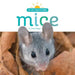 Mice by Kate Riggs
