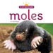 Moles by Kate Riggs