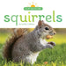 Squirrels by Lindsy J. O'Brien