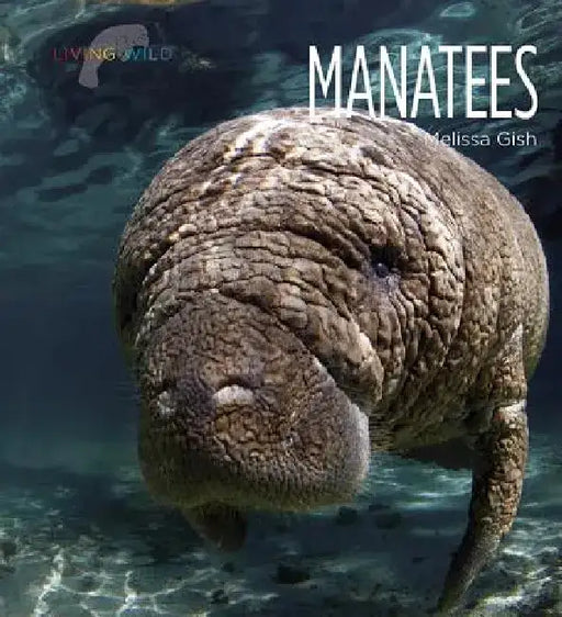 Manatees by Melissa Gish