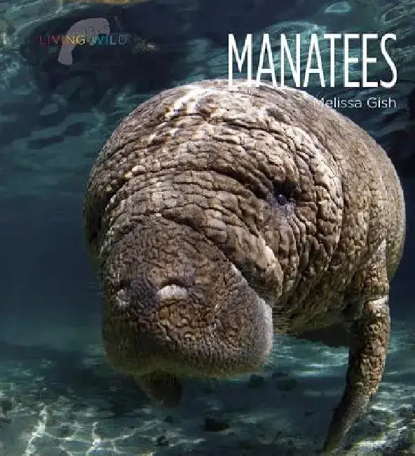 Manatees by Melissa Gish