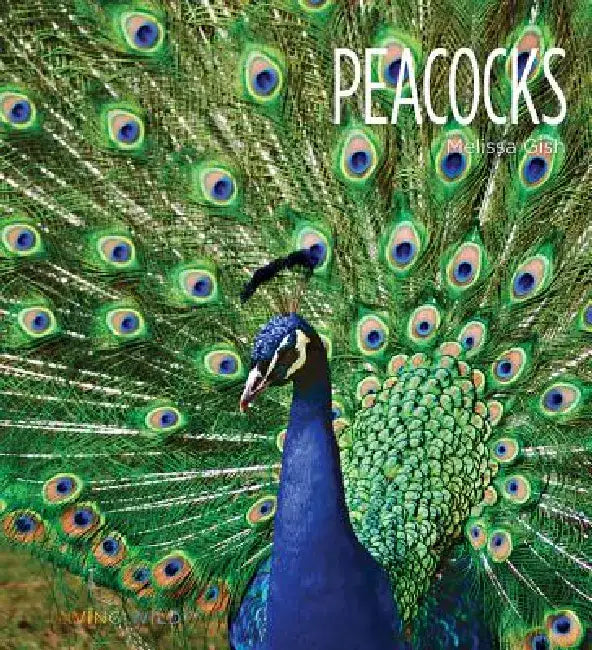 Peacocks by Melissa Gish