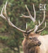 Elk by Melissa Gish