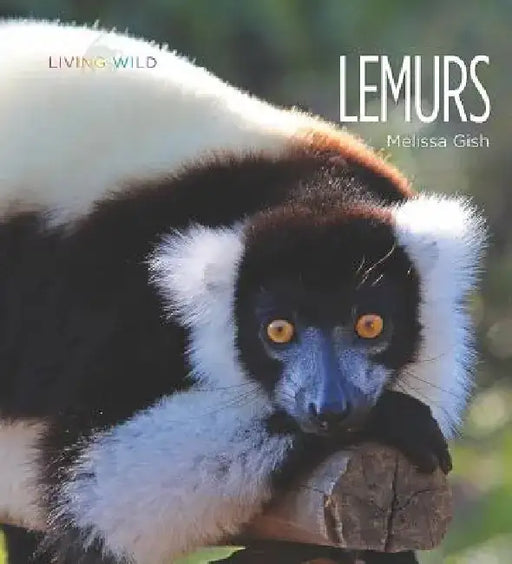 Lemurs by Melissa Gish