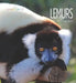 Lemurs by Melissa Gish