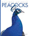 Peacocks by Valerie Bodden