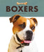 Boxers by Valerie Bodden