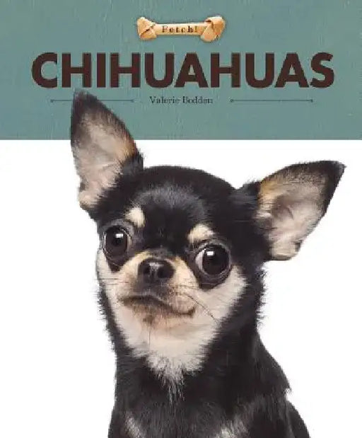 Chihuahuas by Valerie Bodden