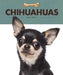 Chihuahuas by Valerie Bodden