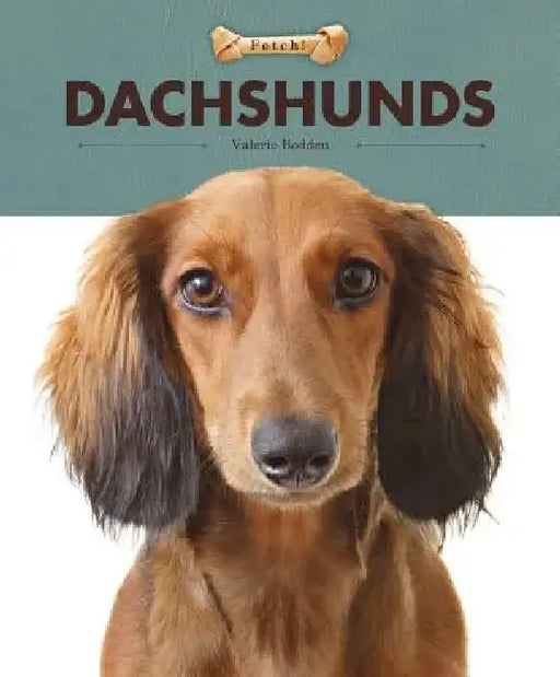 Dachshunds by Valerie Bodden