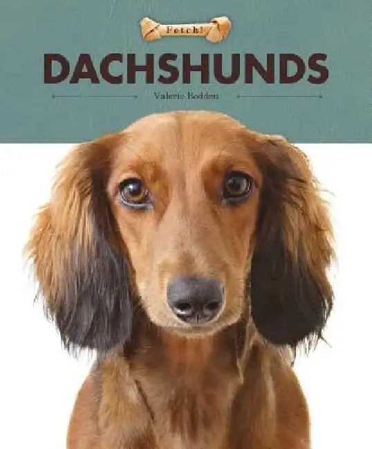 Dachshunds by Valerie Bodden