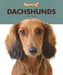 Dachshunds by Valerie Bodden