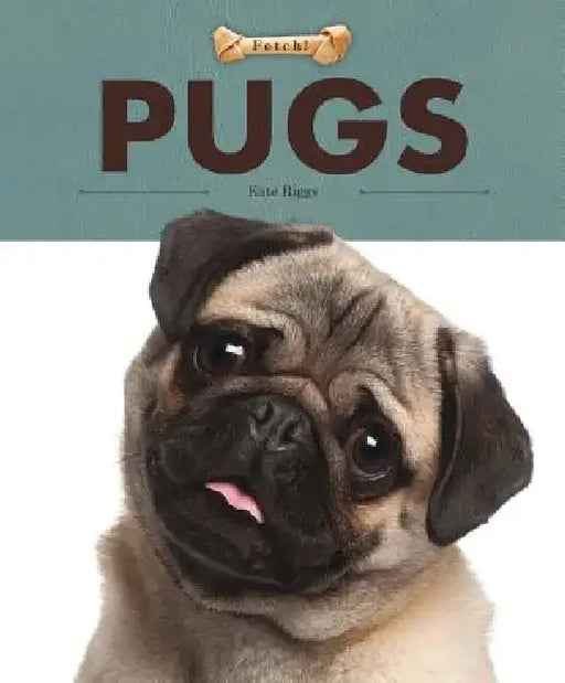 Pugs by Kate Riggs