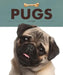 Pugs by Kate Riggs