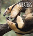 Anteaters by Melissa Gish