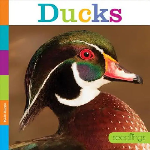Ducks by Kate Riggs