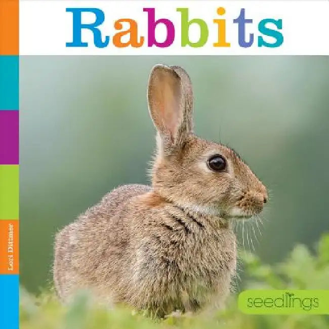 Rabbits by Lori Dittmer