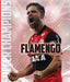 Flamengo by Jim Whiting