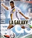 La Galaxy by Jim Whiting