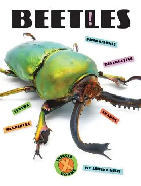 Beetles by Ashley Gish