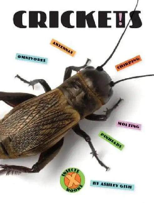 Crickets by Ashley Gish