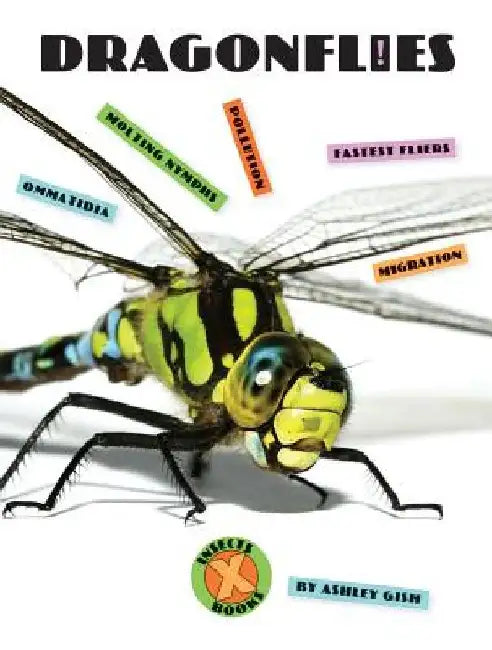 Dragonflies by Ashley Gish