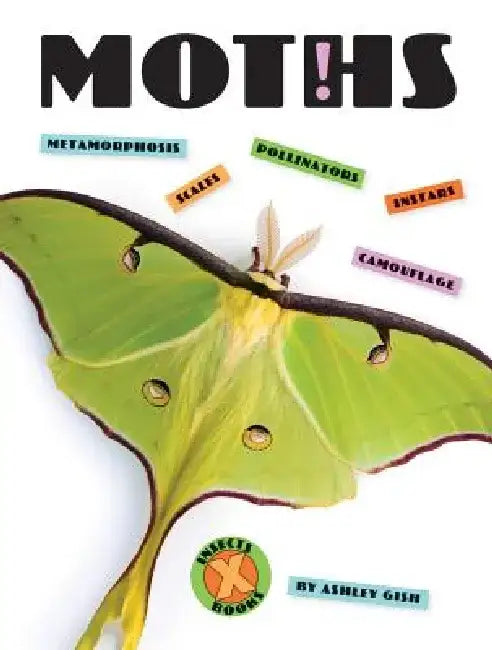 Moths by Ashley Gish