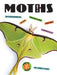 Moths by Ashley Gish