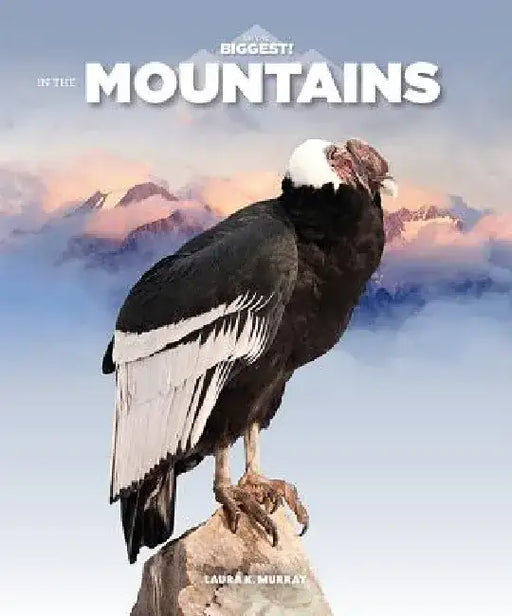 In the Mountains by Laura K. Murray